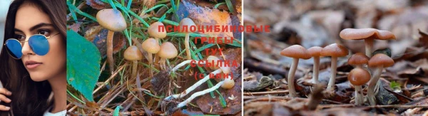 кокаин Заволжск