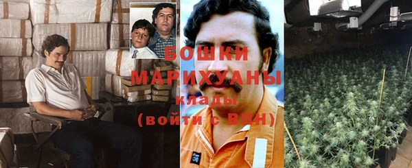 крисы Заводоуковск