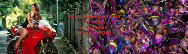 крисы Заводоуковск