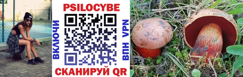 блэк спрут зеркало  Сибай  Псилоцибиновые грибы ЛСД 