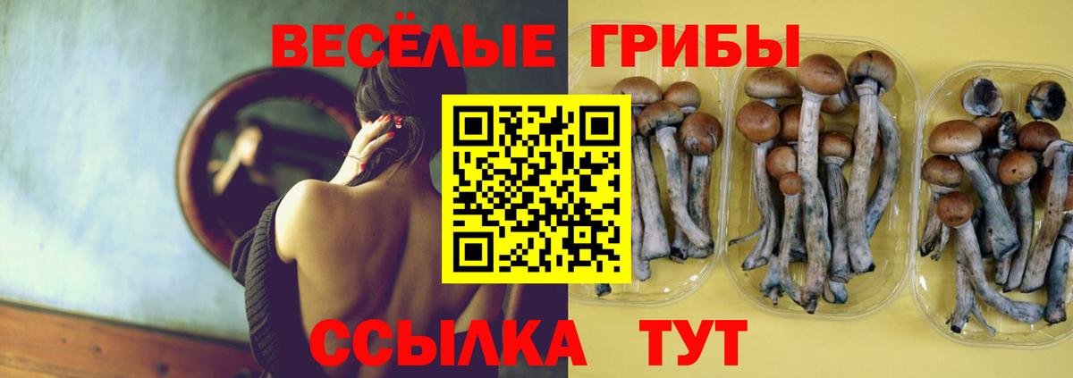Галлюциногенные грибы Cubensis Сибай